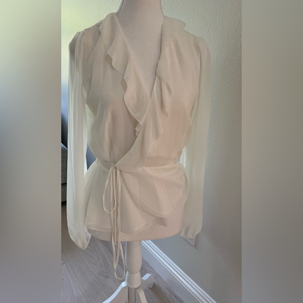 Aritzia Blouse sheer worn once. Super pretty